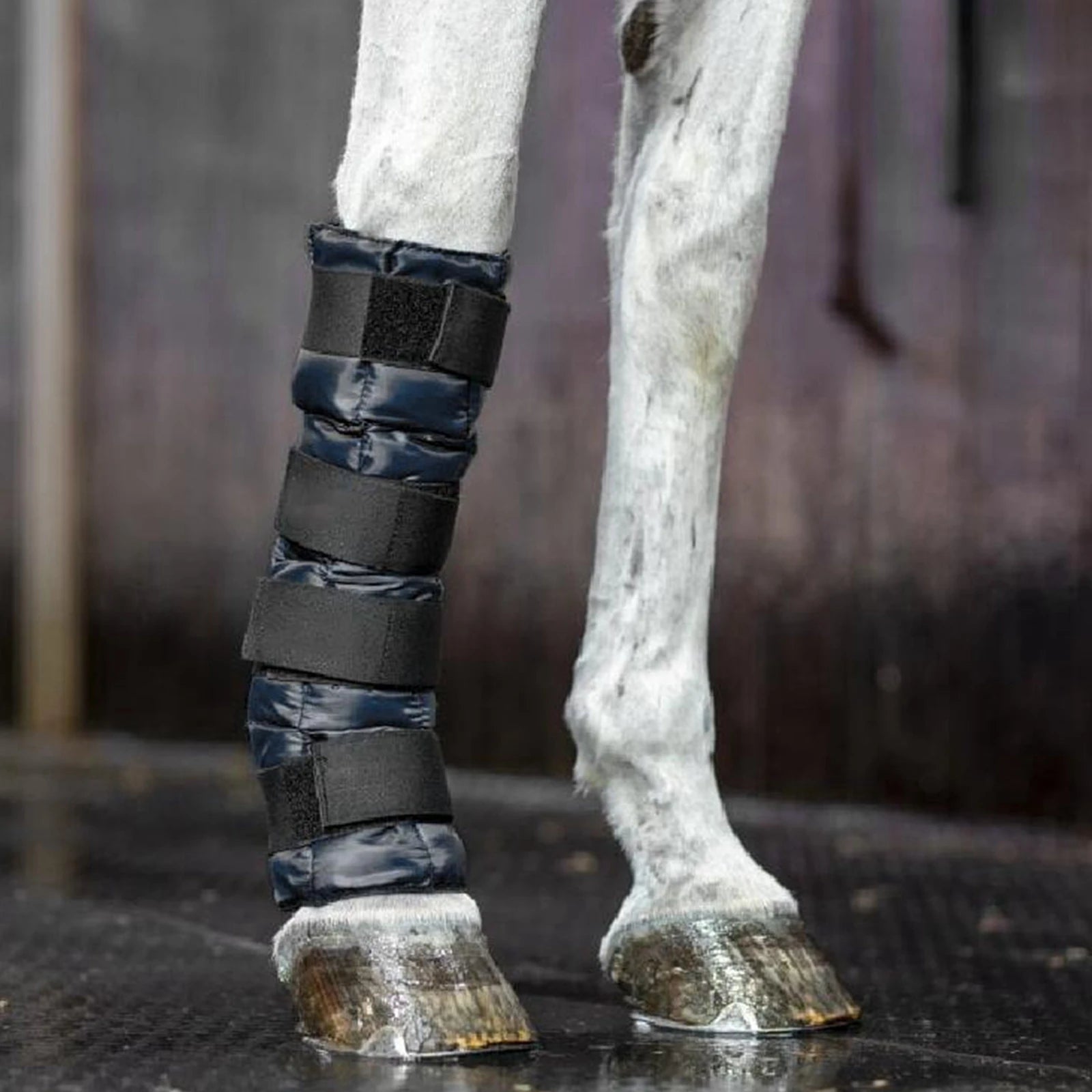 Equine Cooling & Compression Boots – Ultimate Leg Care for Your Horse