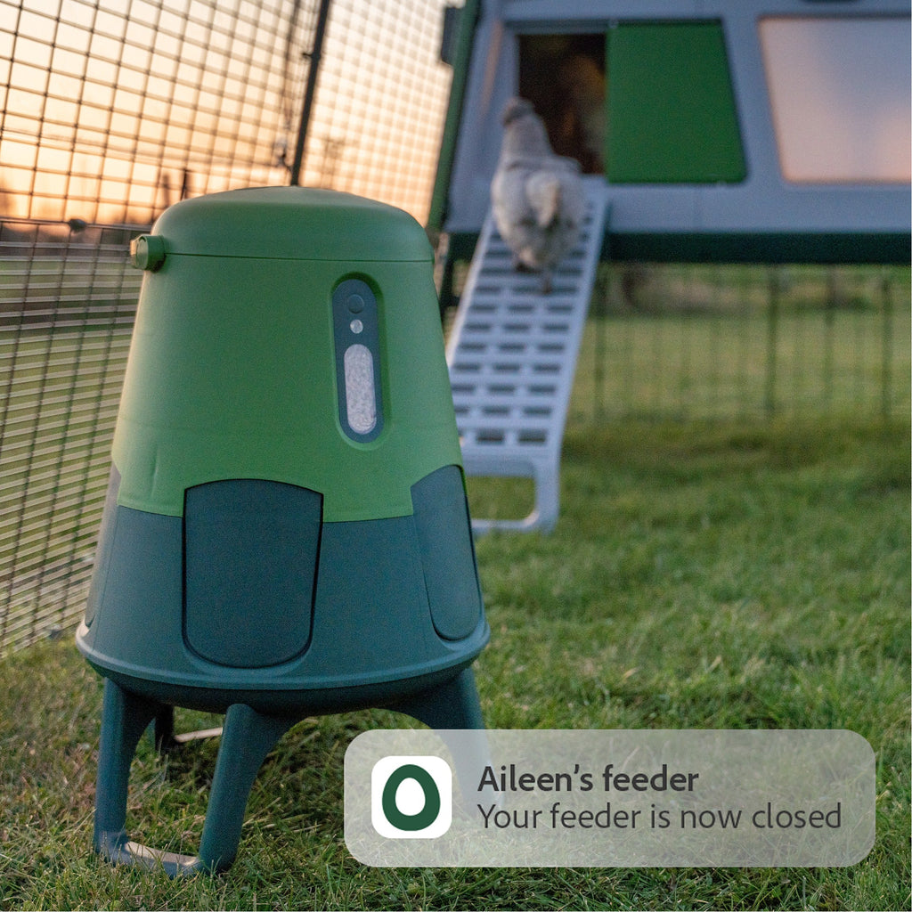 Smart No-Waste Chicken Feeder – 12LB Automatic Poultry Feeding System