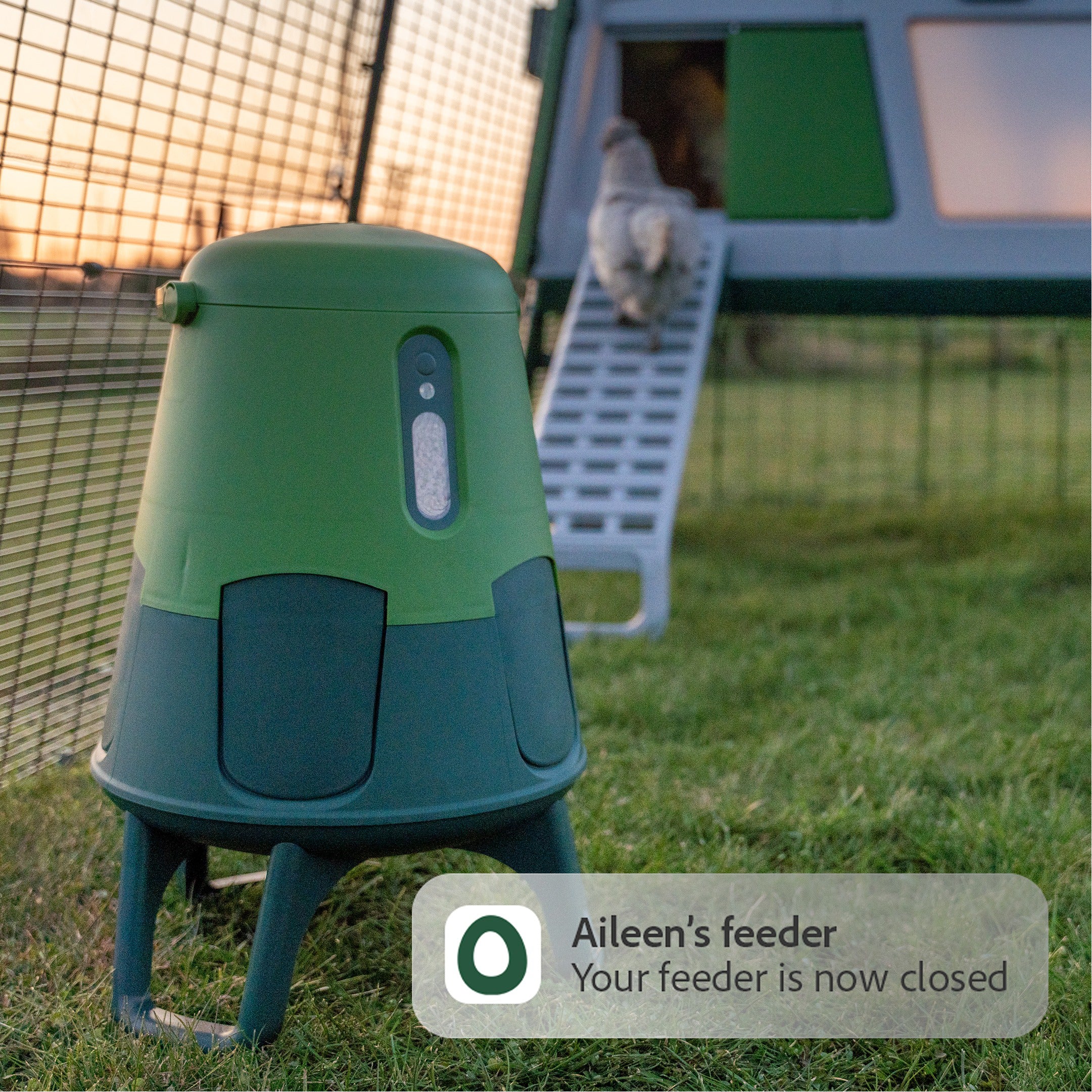 Smart No-Waste Chicken Feeder – 12LB Automatic Poultry Feeding System