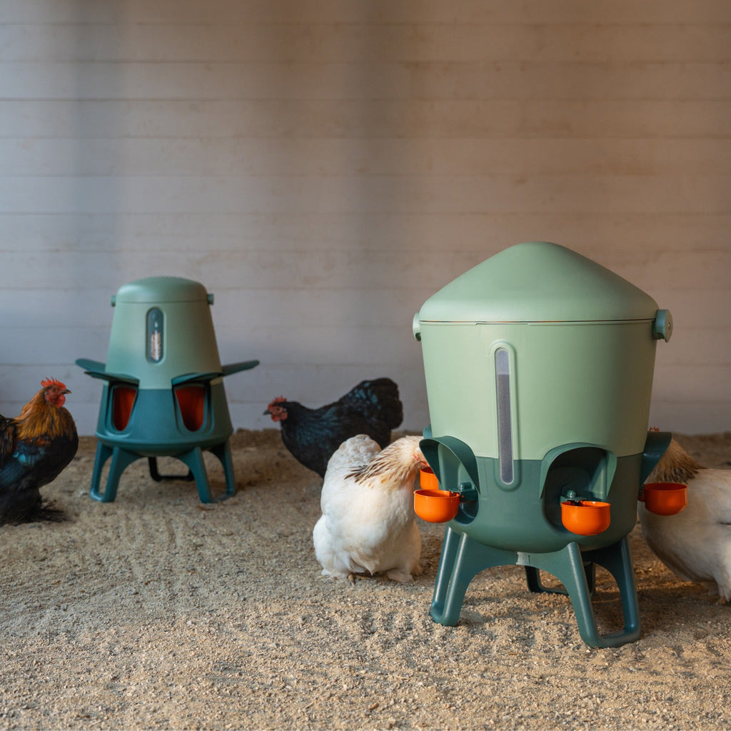 Smart No-Waste Chicken Feeder – 12LB Automatic Poultry Feeding System